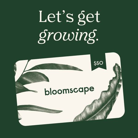 bloomscape礼品卡