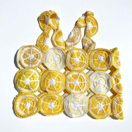 柠檬片水箱(220美元)